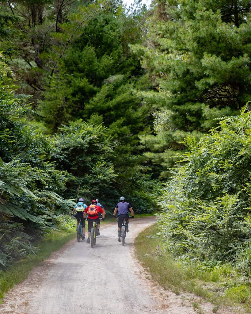 bike hire taupo group in redwoods