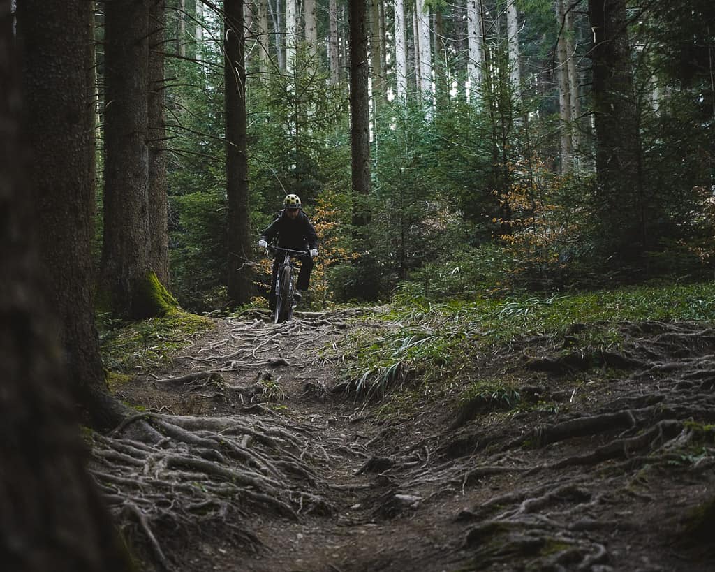 mountain biker on forest trail