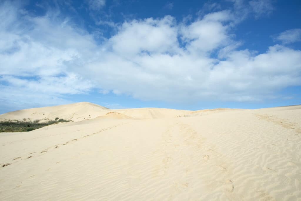 view of tasman sea from giant sand dunes at te paki