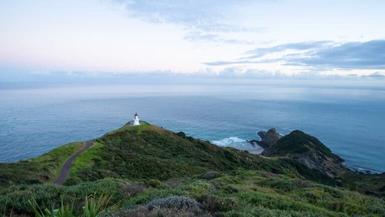 Cape Reinga Ultimate Guide: 7 Unique Things to See & Do